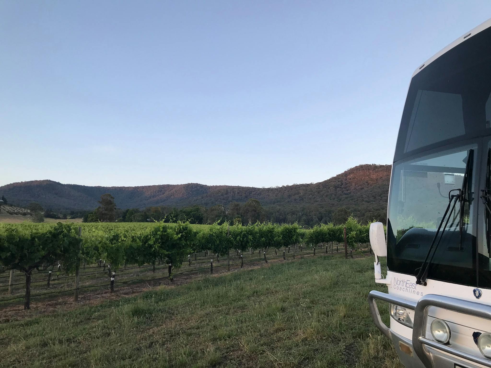 Coach front and vineyard King Valley