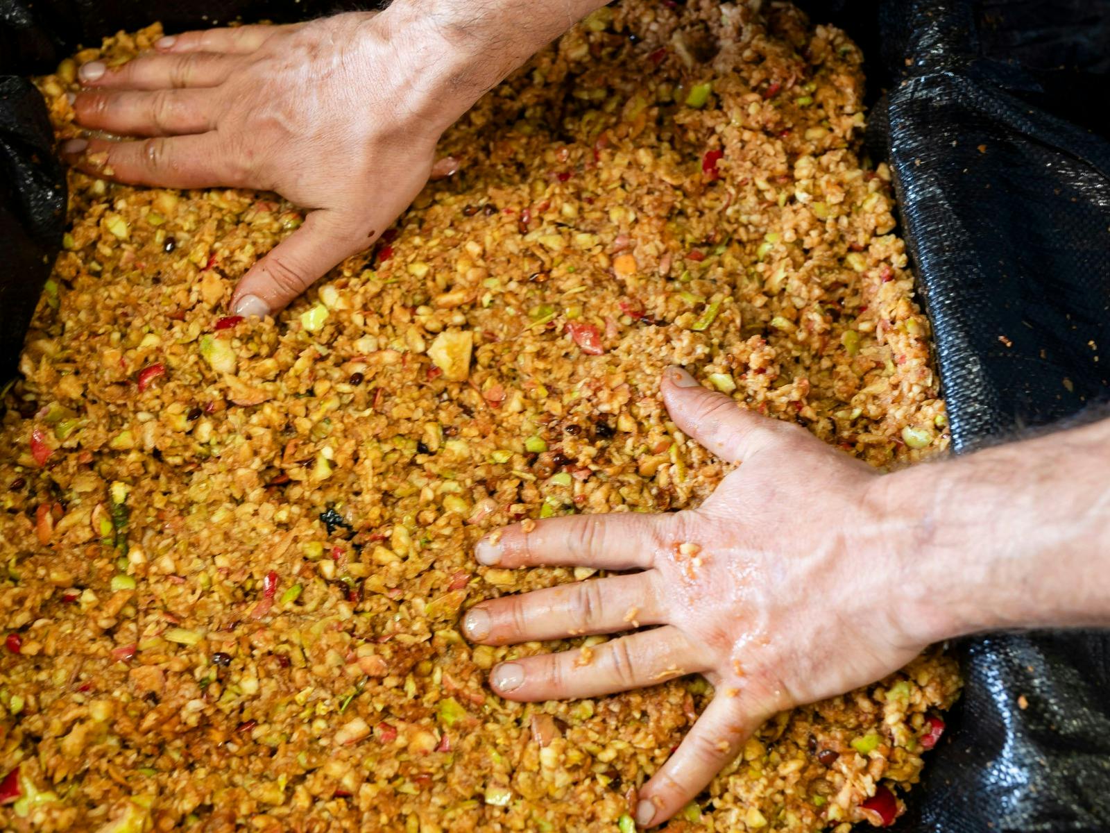 Hands-On Cider Making Workshop