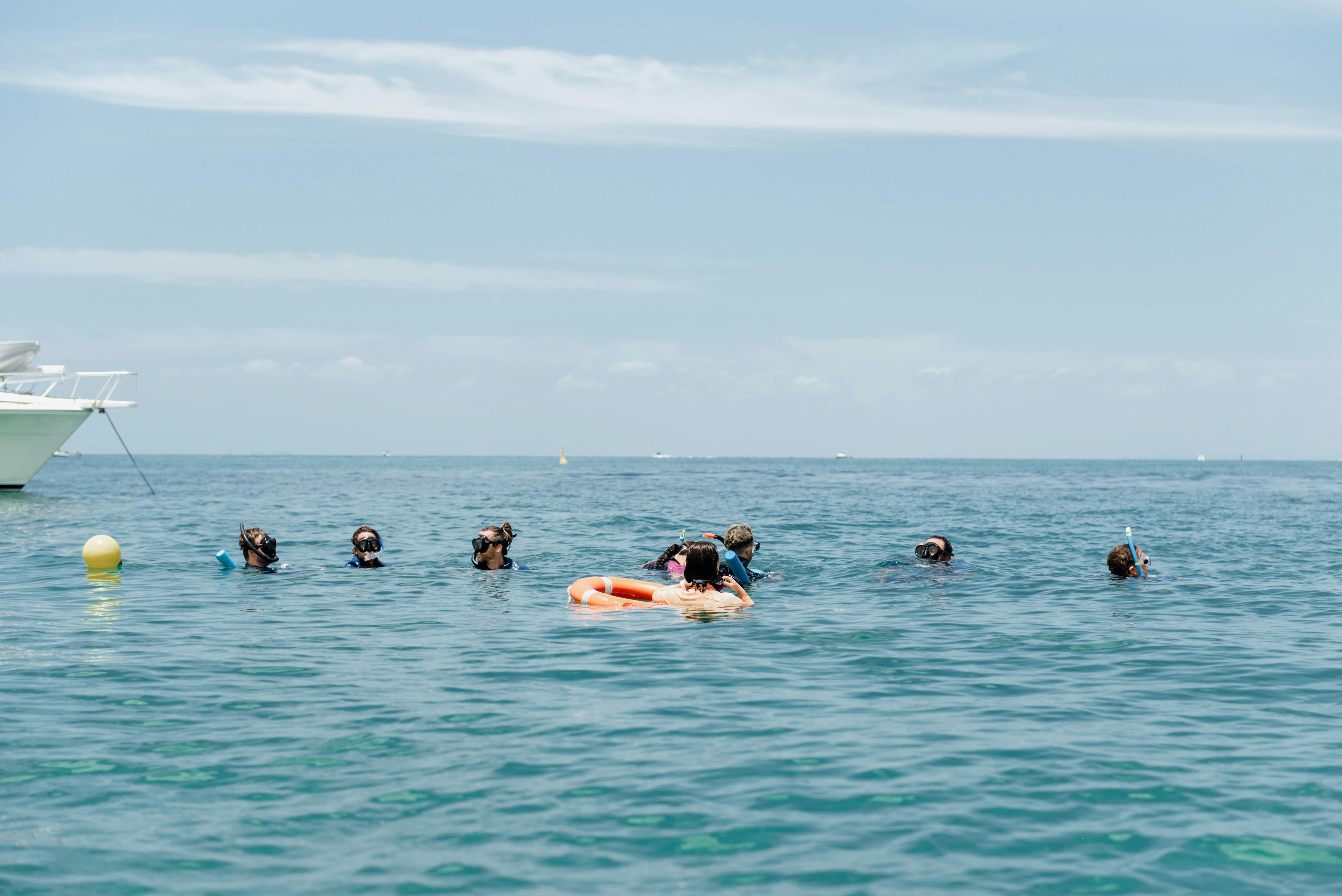 Tangalooma wrecks snorkel