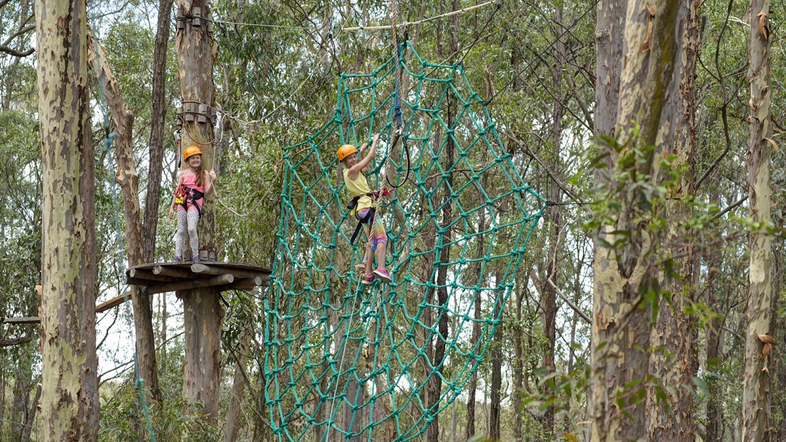 Treetops Adventure Newcastle