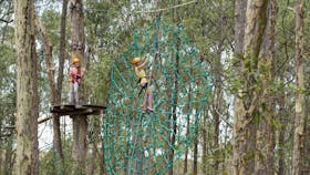 Treetops Adventure Newcastle