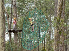 Treetops Adventure Newcastle