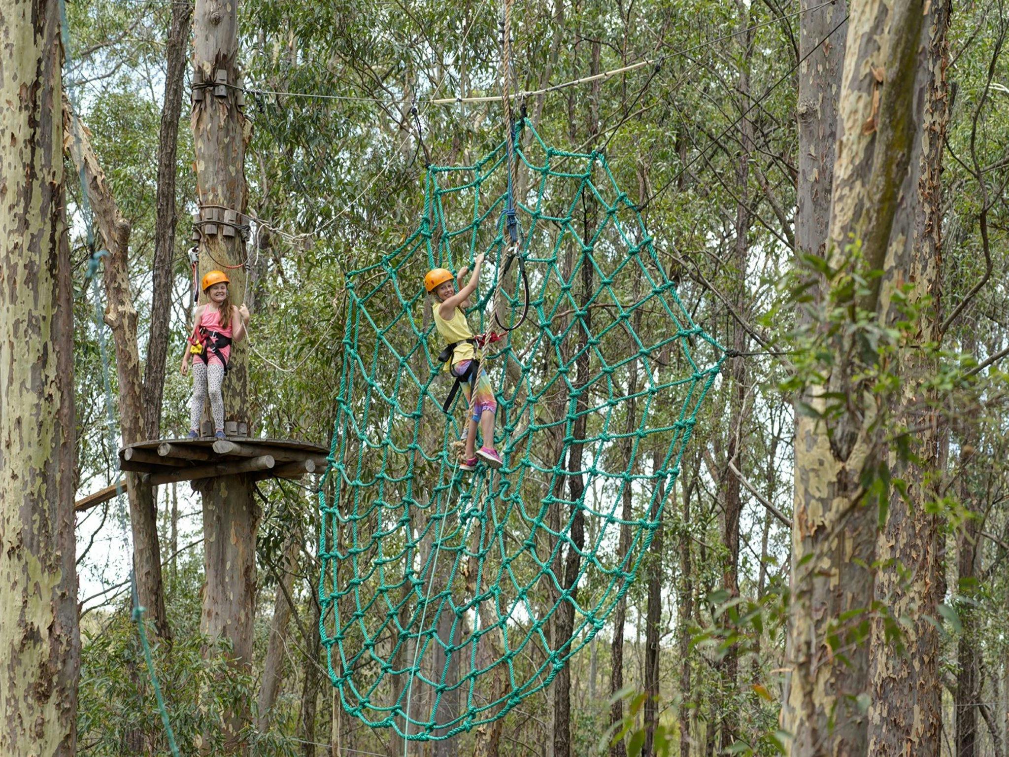 TreeTop Adventure Park Newcastle