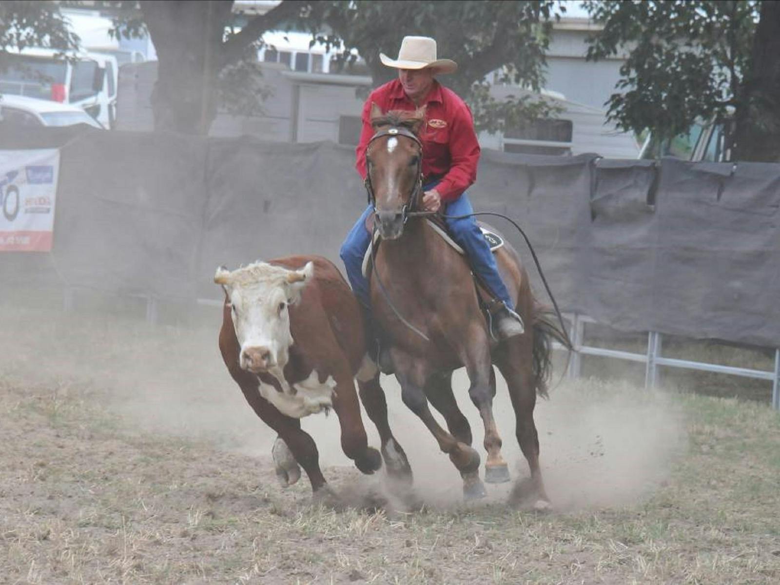 Walcha Golden Gate Campdraft