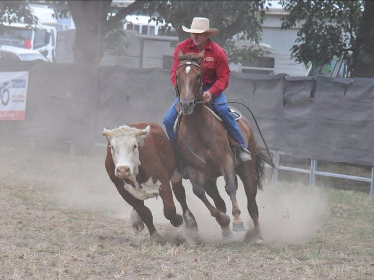 Walcha Golden Gate Campdraft