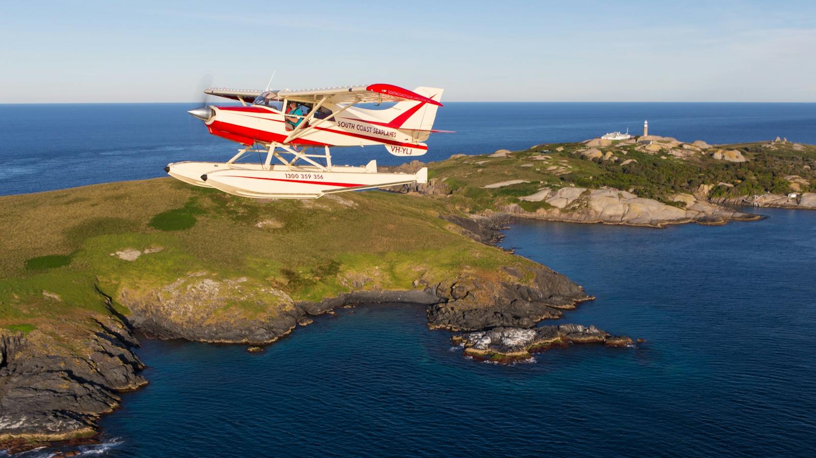Montague Island Tour