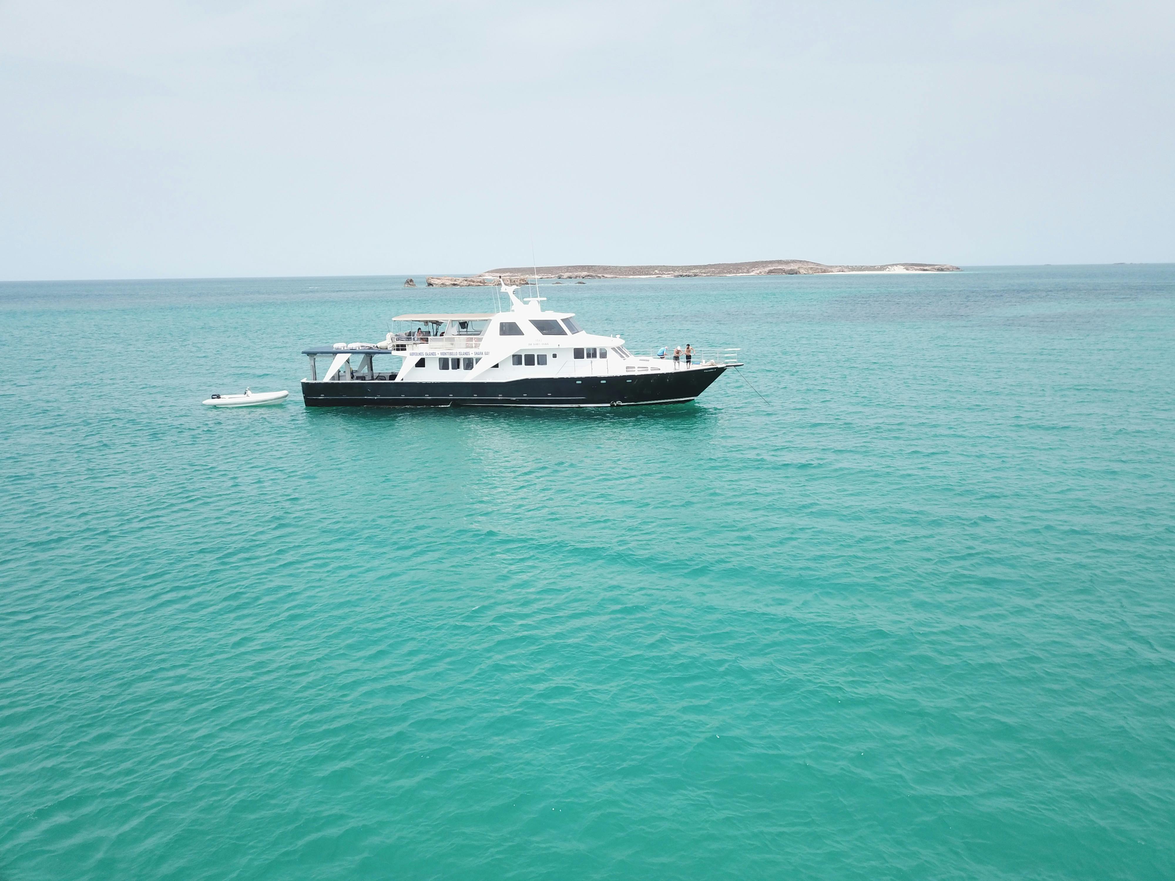 Blue Juice Charters
