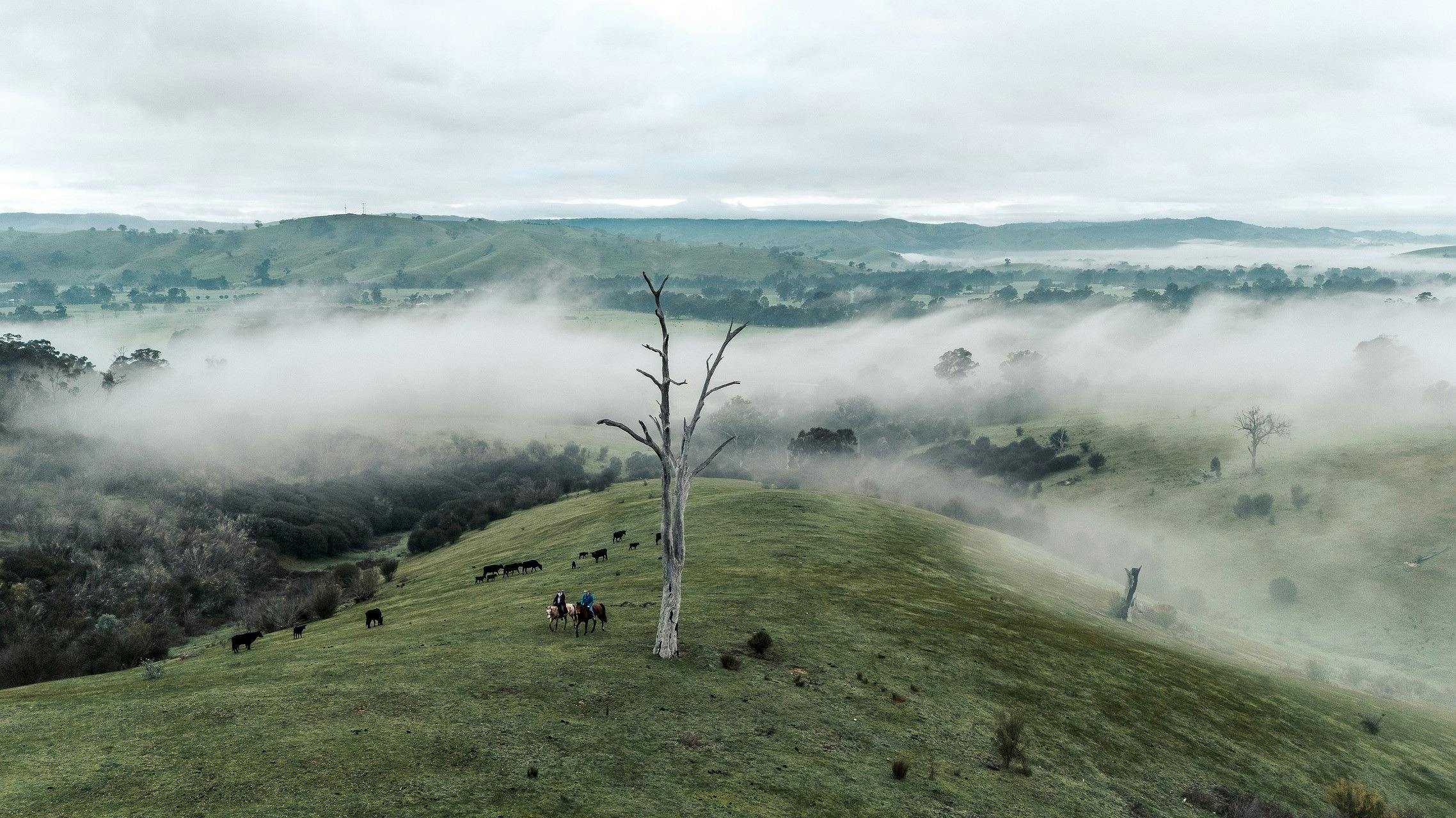 View From Acheron Cutting lookout