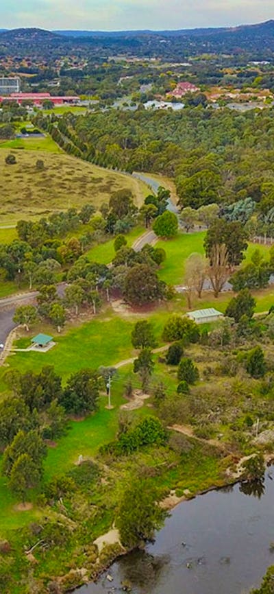aerial view of Pine Island Reserve