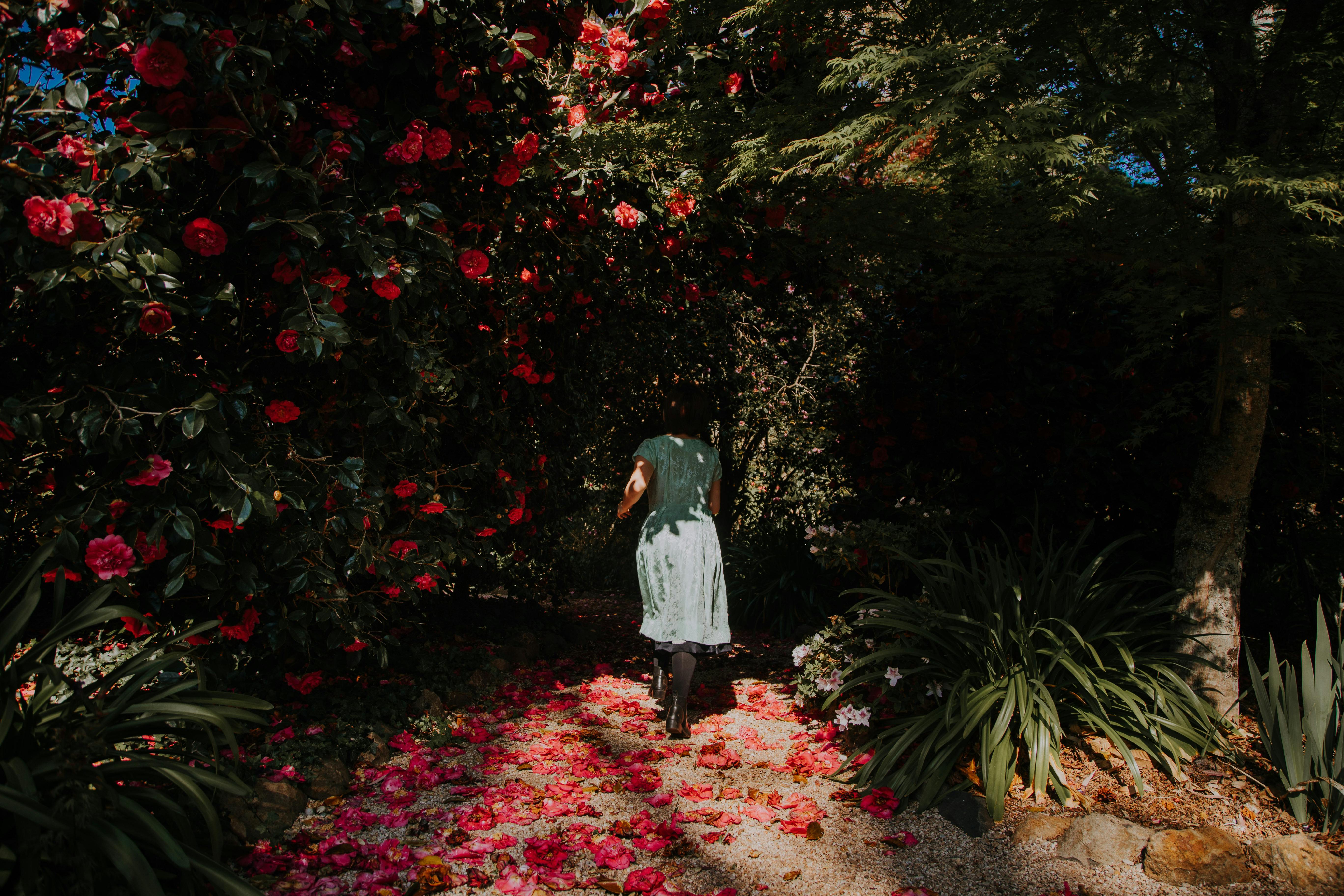 Dennarque Estate - Mount Wilson