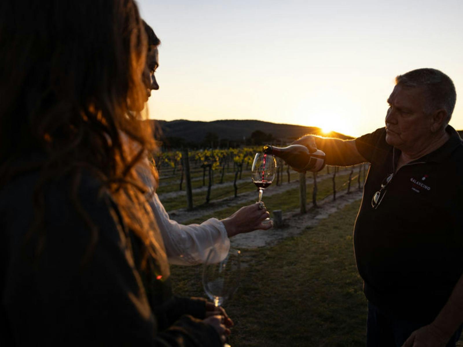 Vineyard touring at Balancing Heart Vineyard on the Granite Belt, South-East Queensland