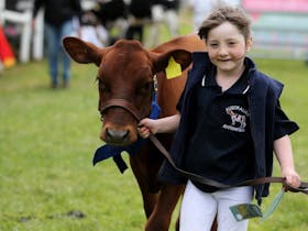 Port Fairy Show