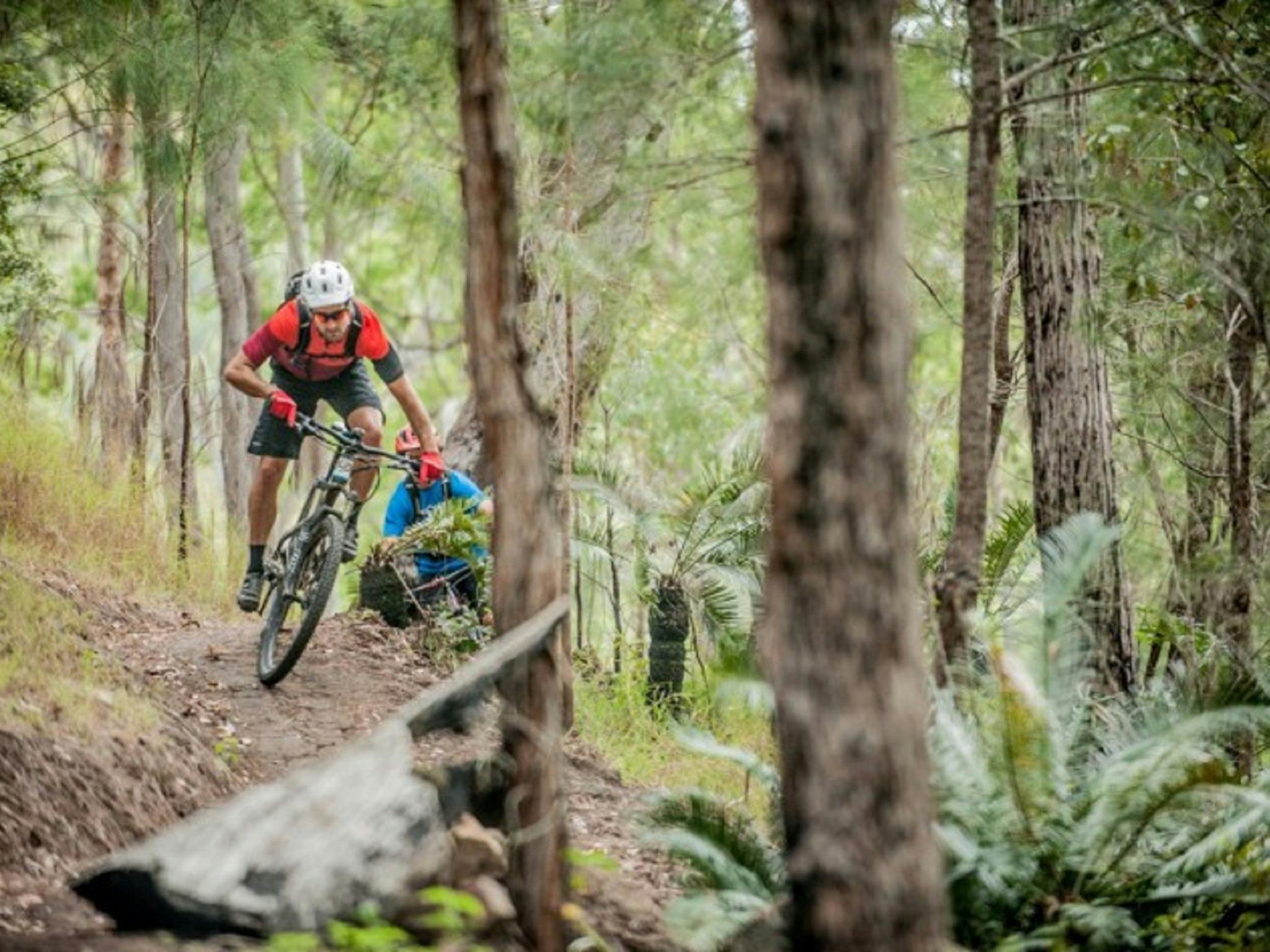 Atherton Forest Mountain Bike Park