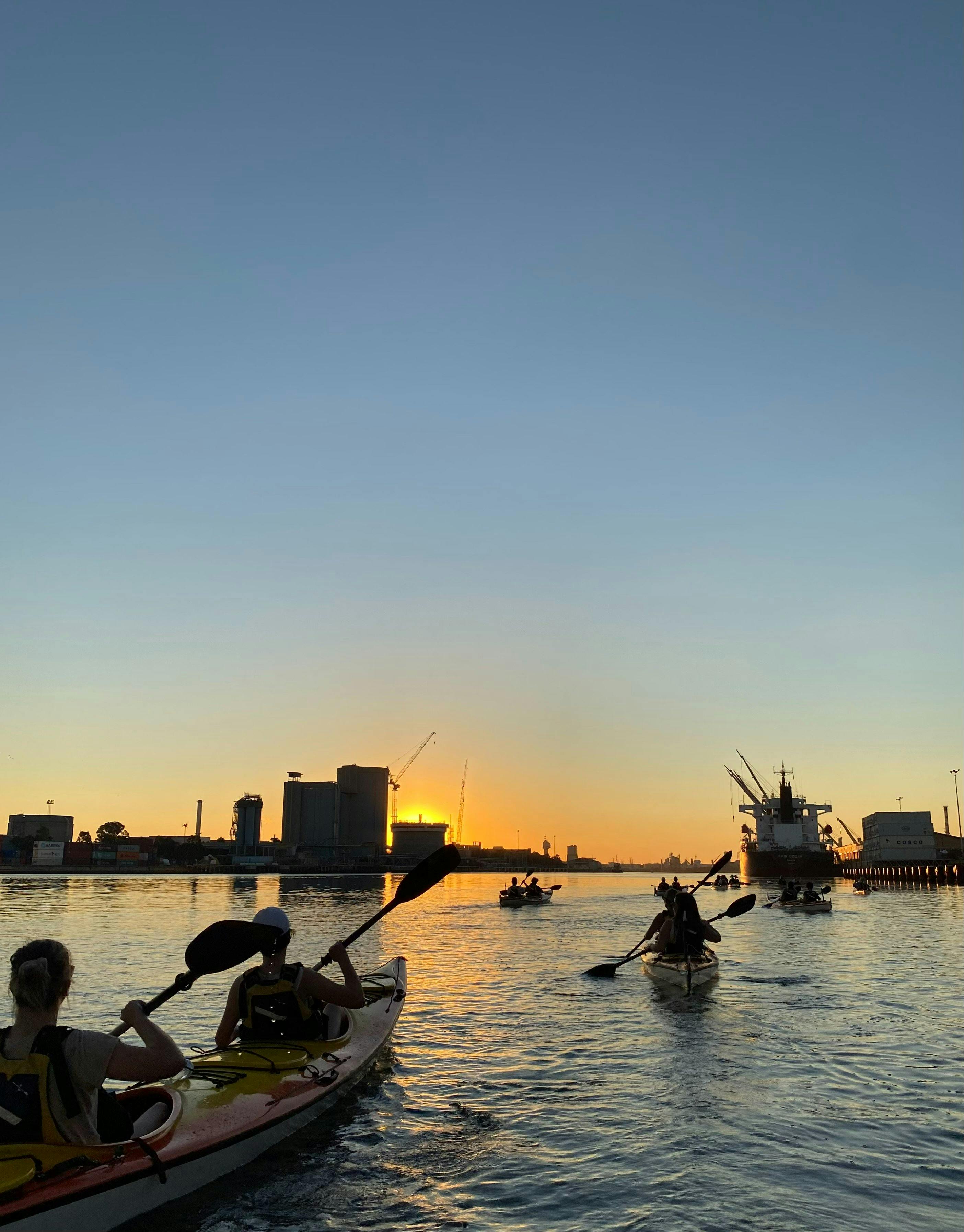 Kayakers paddling with the sun setting over Fisherman's Bend