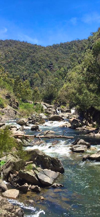 Flea Creek