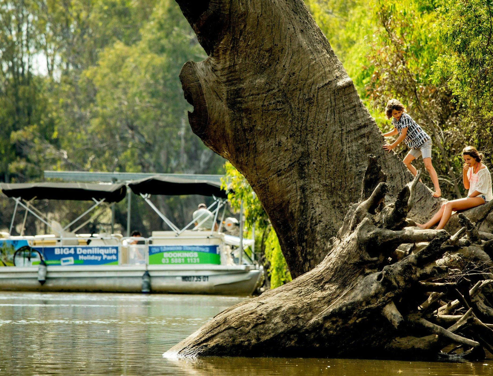 Hire the Pontoon Boat at BIG4 Deni and see the beautiful Edward River at your leisure