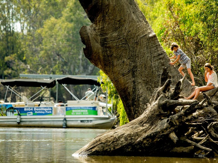Hire the Pontoon Boat at BIG4 Deni and see the beautiful Edward River at your leisure