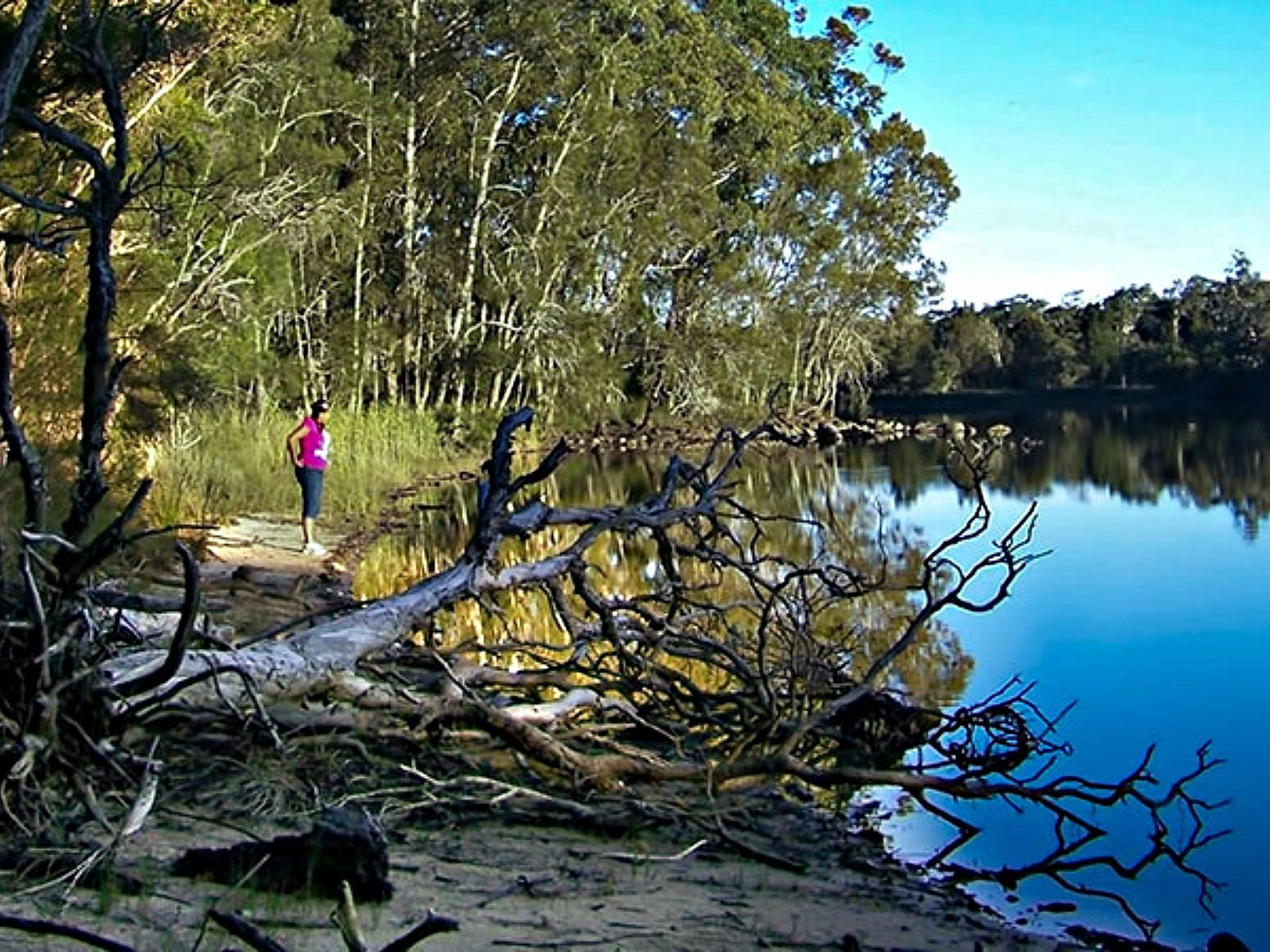 Five Islands Walking Track