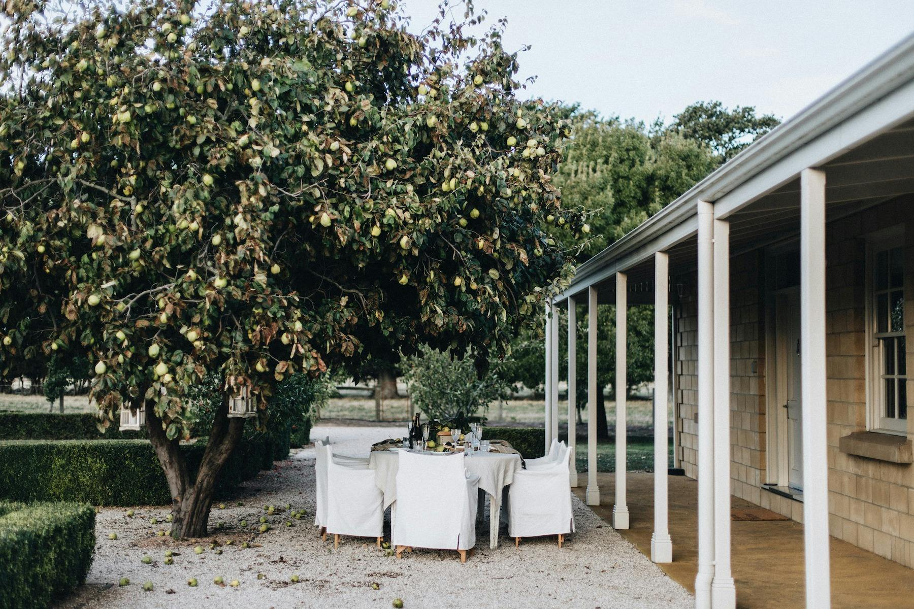 Garden at Chatsworth