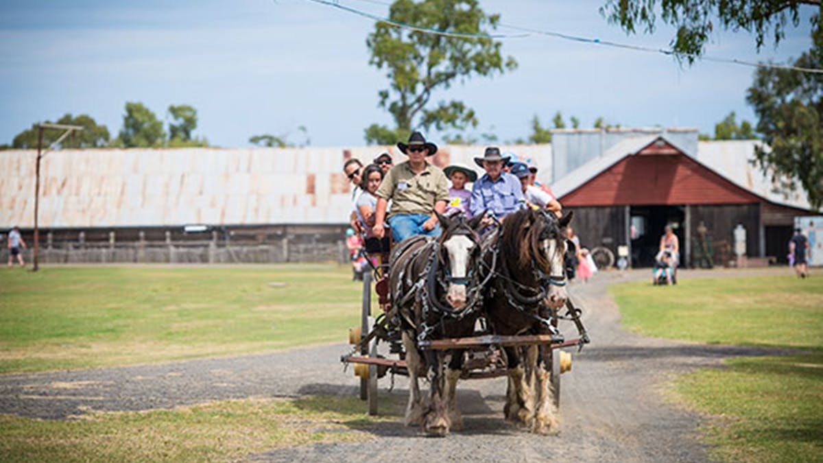 Wagon rides at the Jondaryan Woolshed