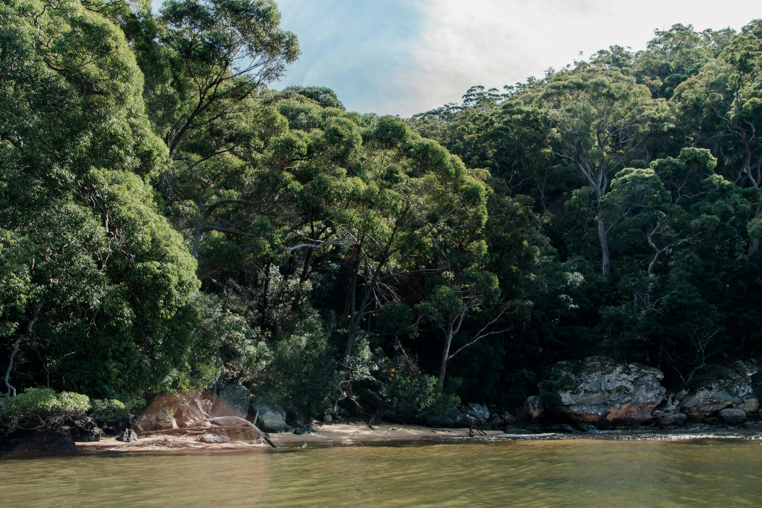 真珠養殖について学ぶために真珠養殖ツアーでリトルポルトベイを訪問