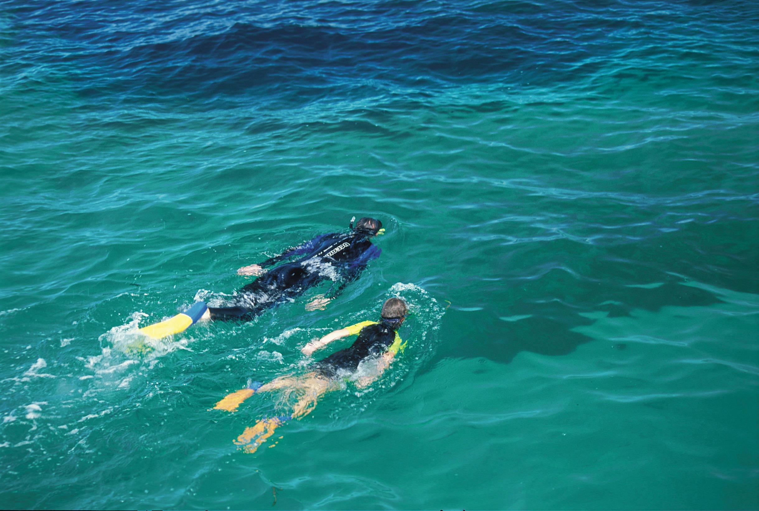 Coral Coast Wildlife, Jurien Bay, Western Australia