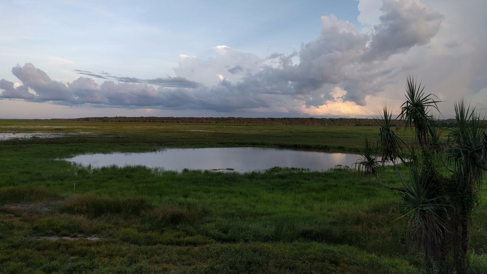 Fogg Dam Conservation Reserve