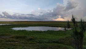Fogg Dam Conservation Reserve