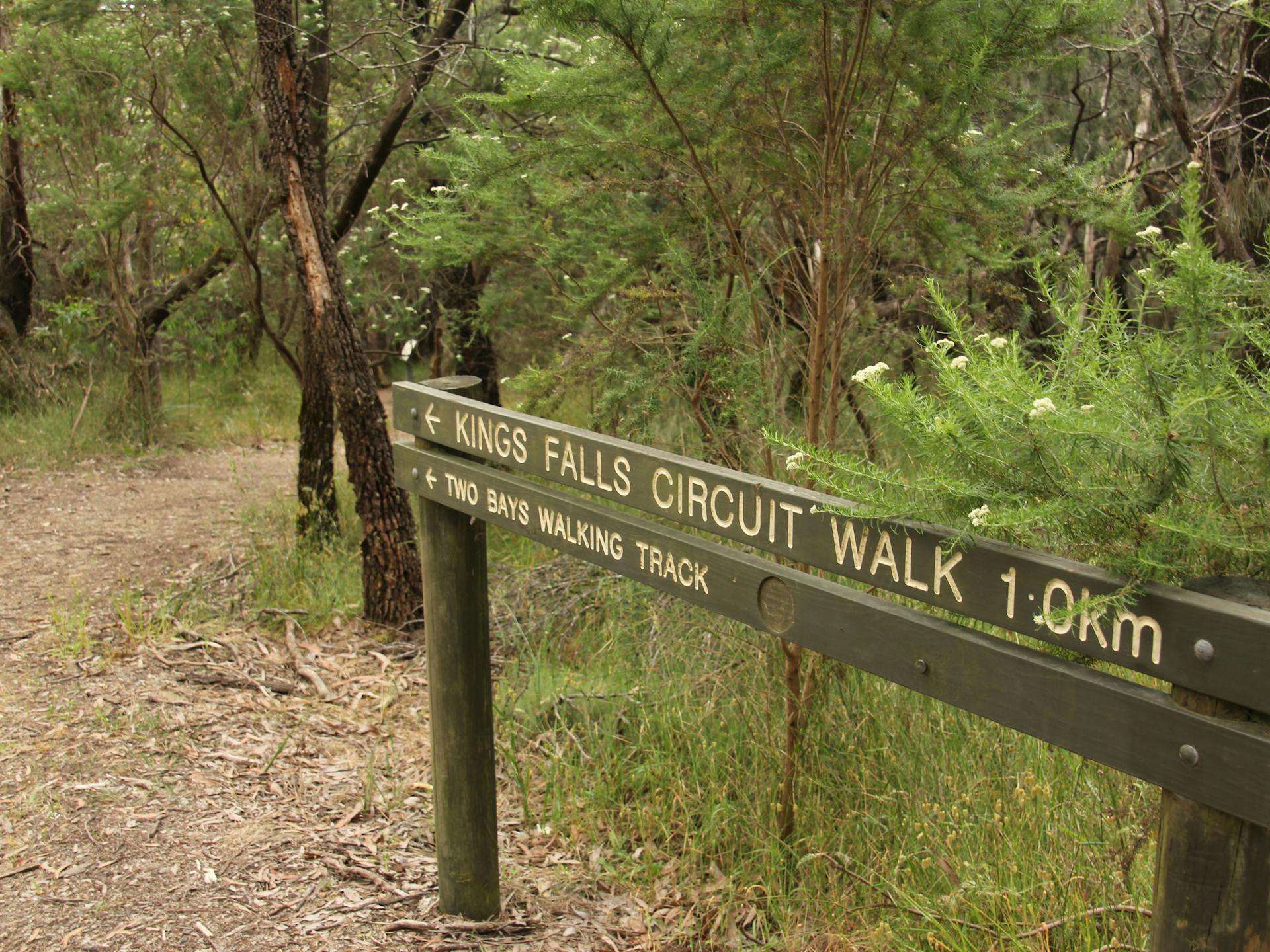 Waterfall Gully - Kings Falls Circuit Walk in Main Ridge - The Fold ...