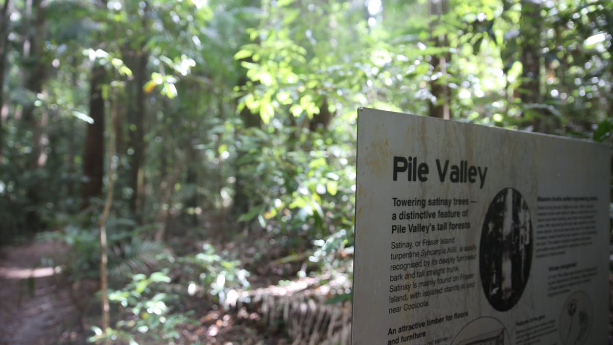 photo showing interpretive sign with information about timber uses  for satinay wood.