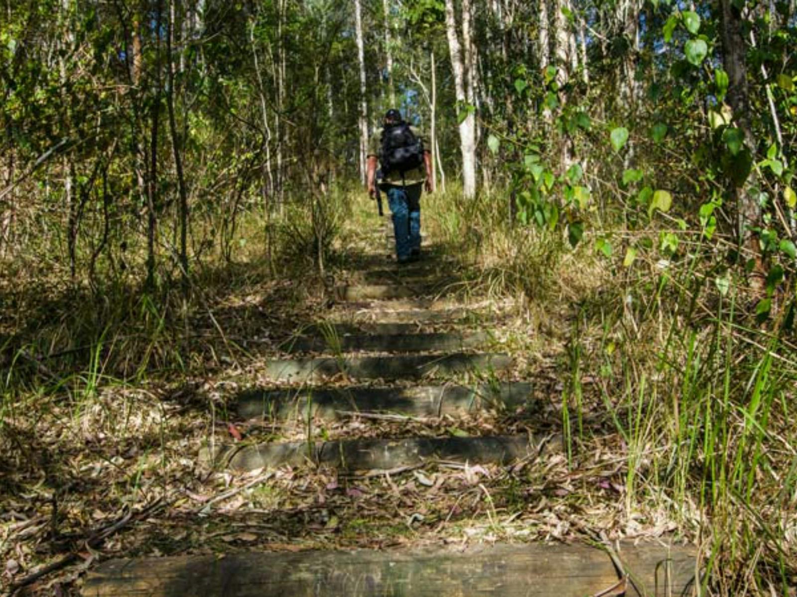 Cliff Face track