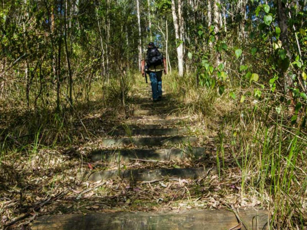 Cliff Face track