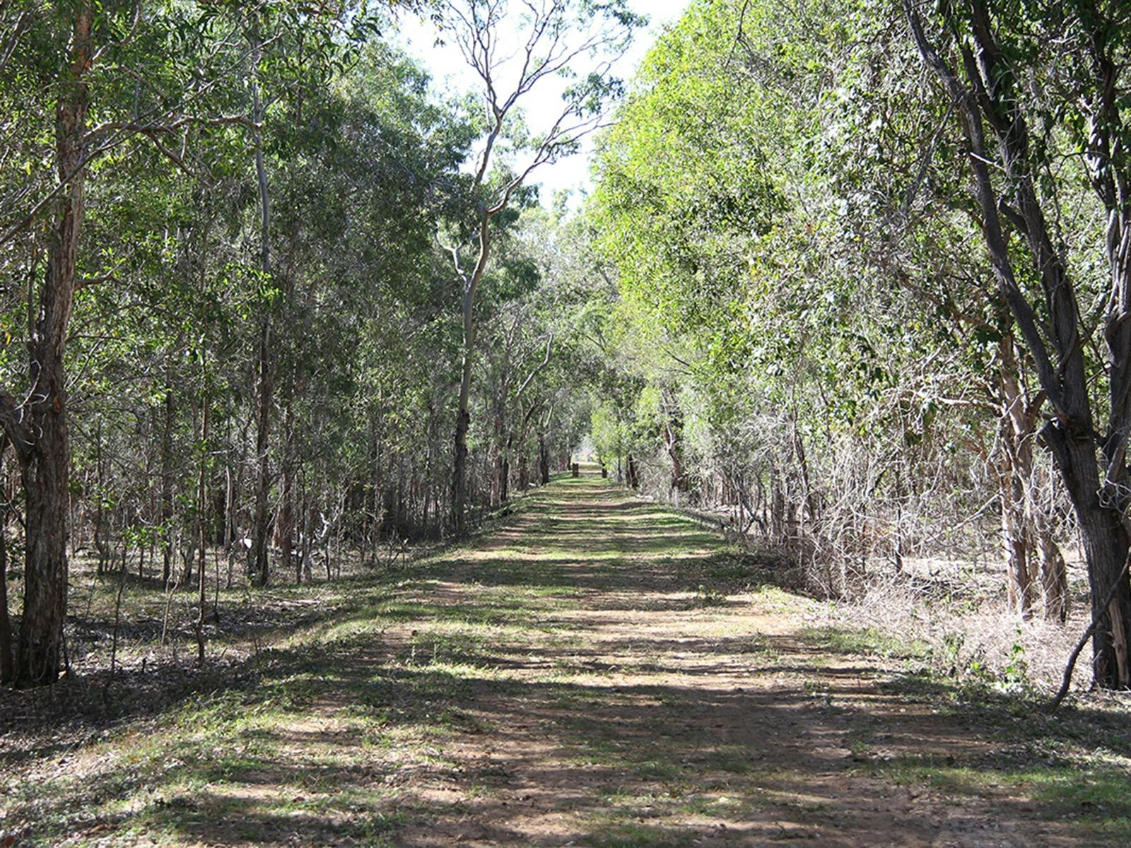 Barolin Nature Reserve Barolin Nature Reserve
