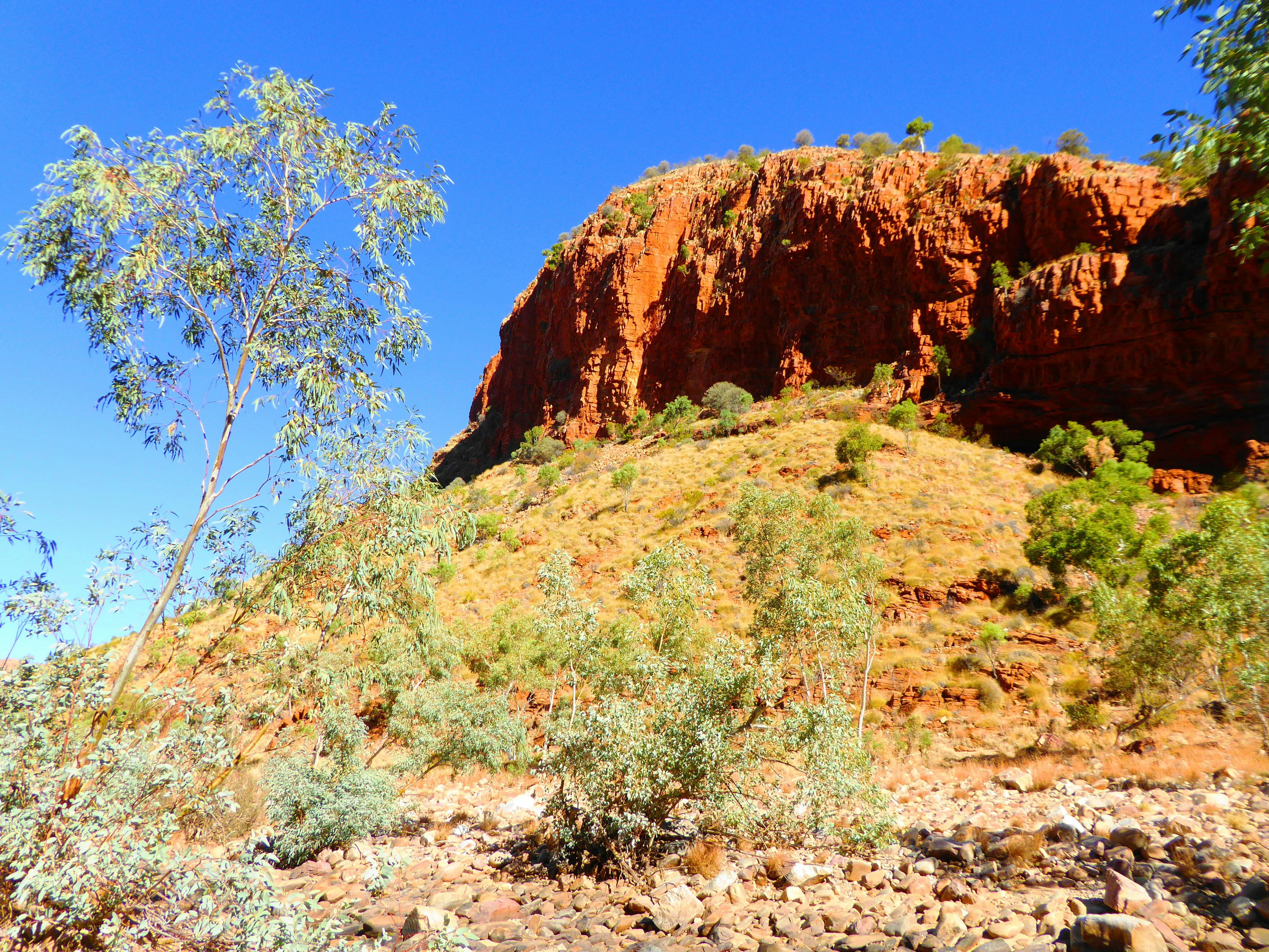Larapinta Trail 5-Day Pack-Free Guided Walk with Life's An Adventure