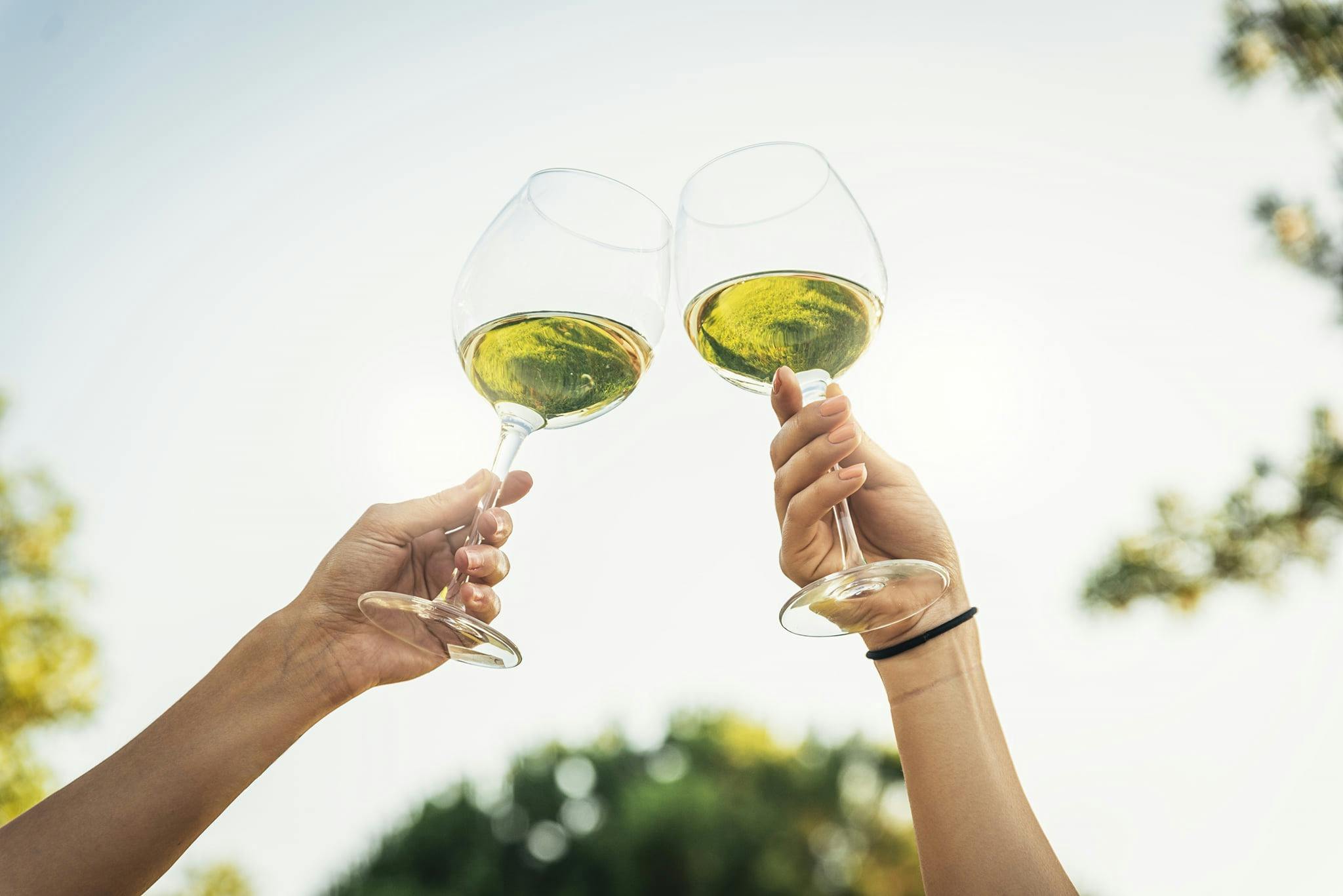 Hunters Dream Winery