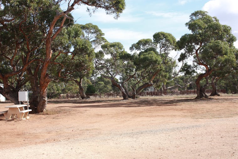 Cleve Showgrounds RV Park