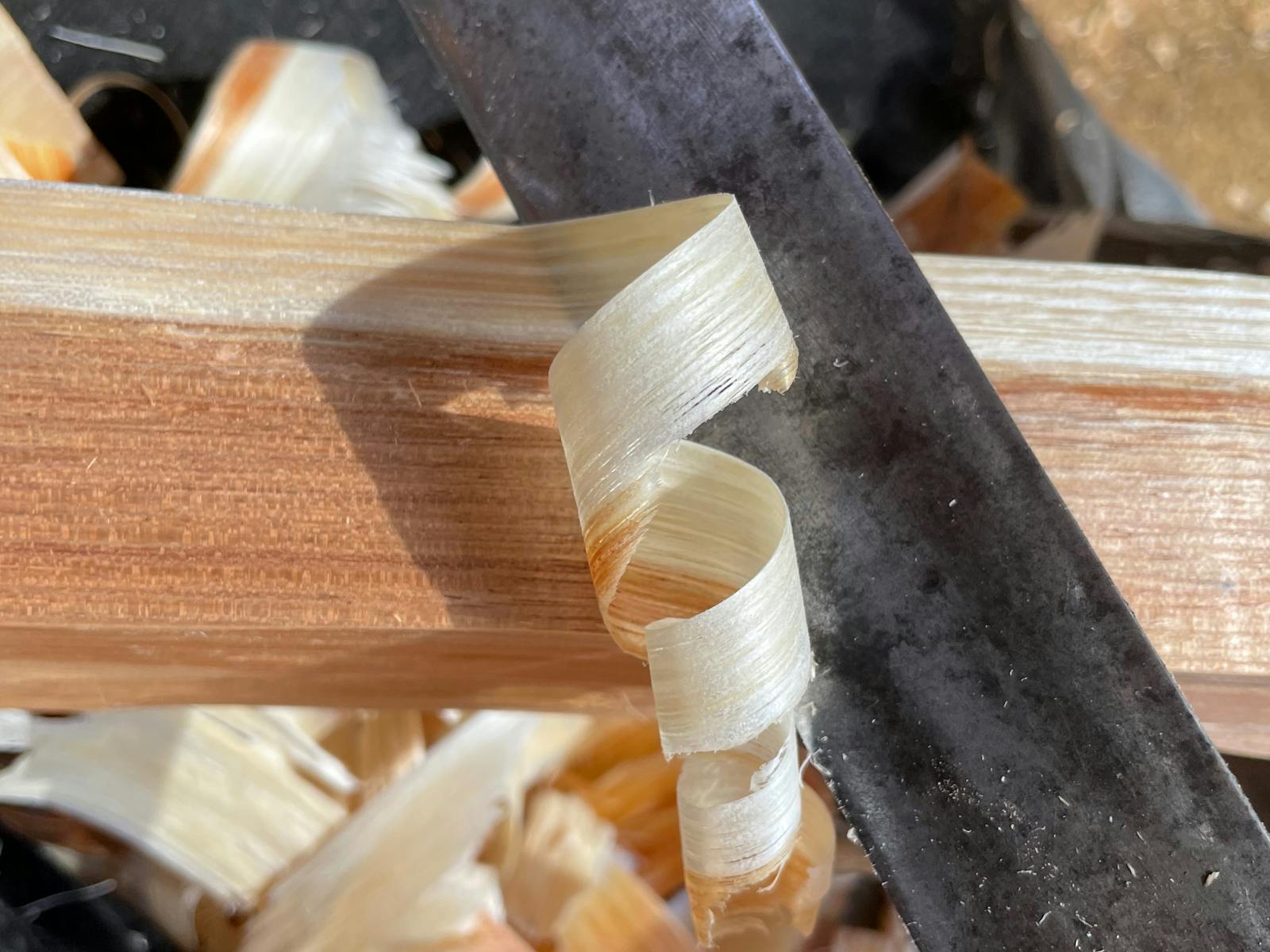 Shavings of Silver Wattle coming off a draw knife at Wisdom Through Wood