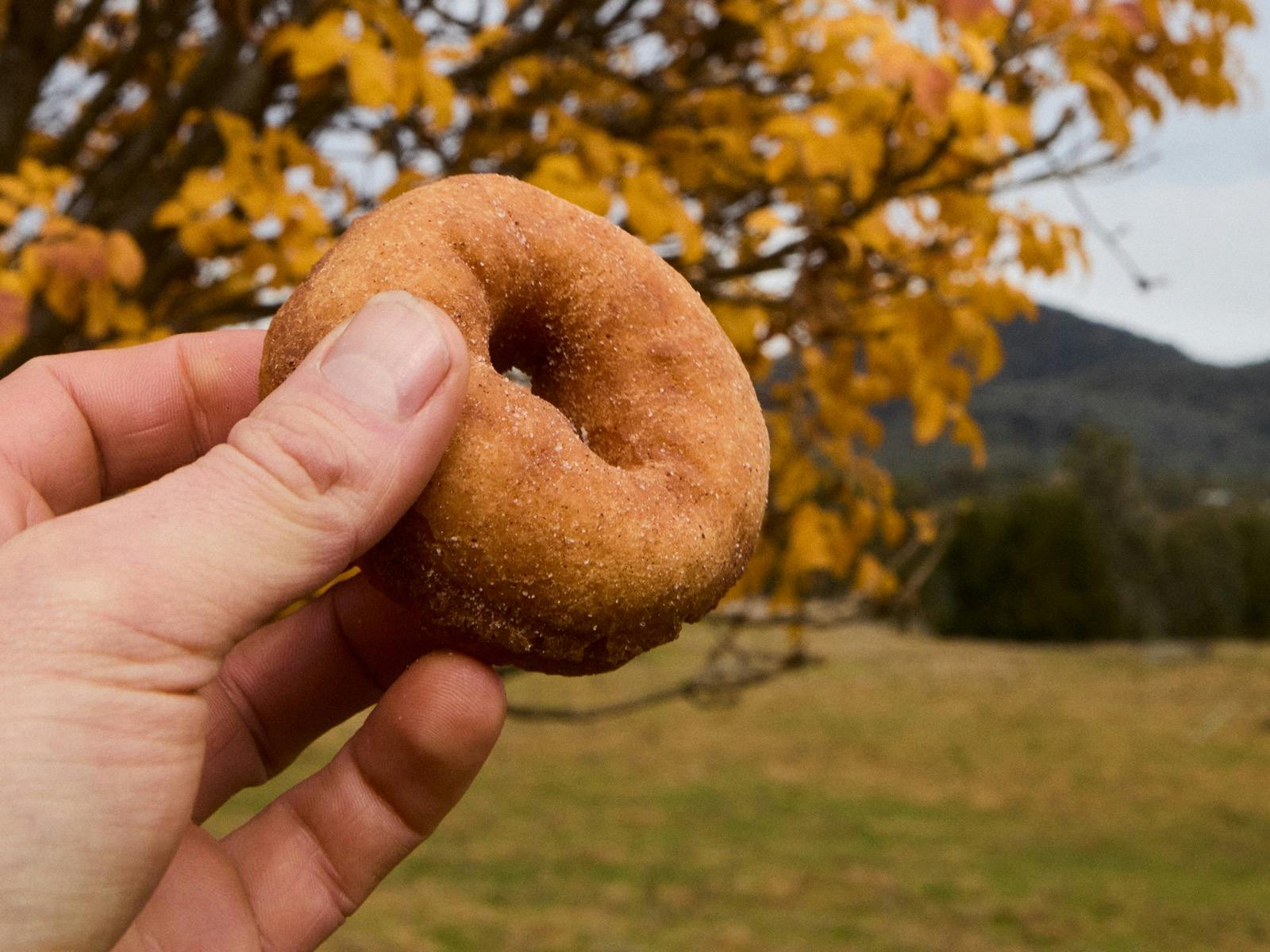 Fresh doughnut hot cinnamon doughnuts
