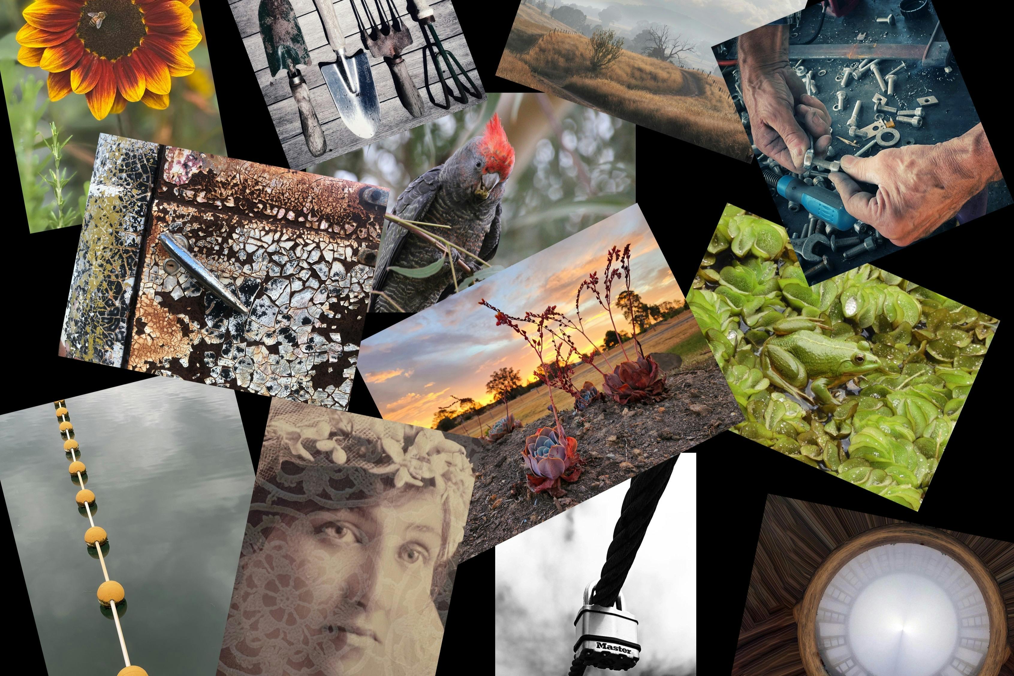 photofocus25