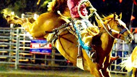 Gundagai Rodeo
