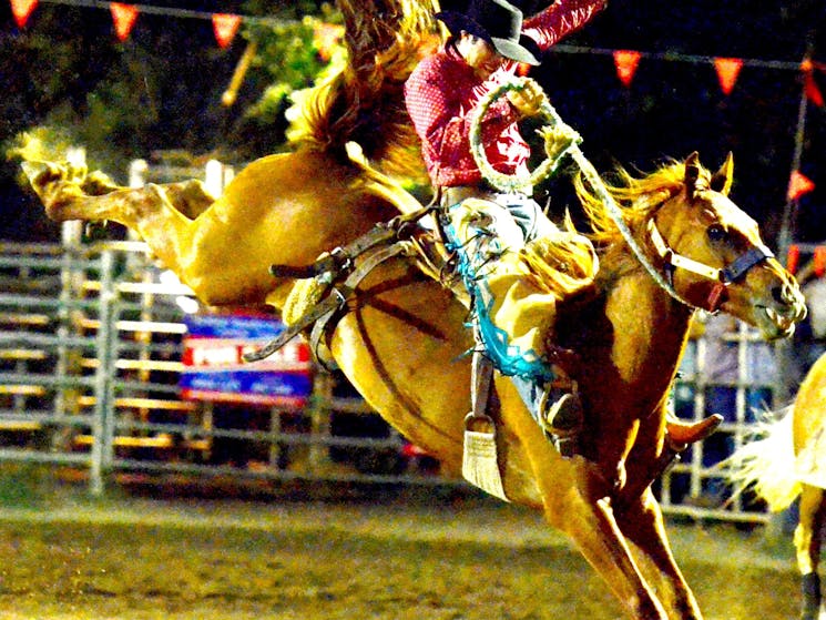 Bronc Rider