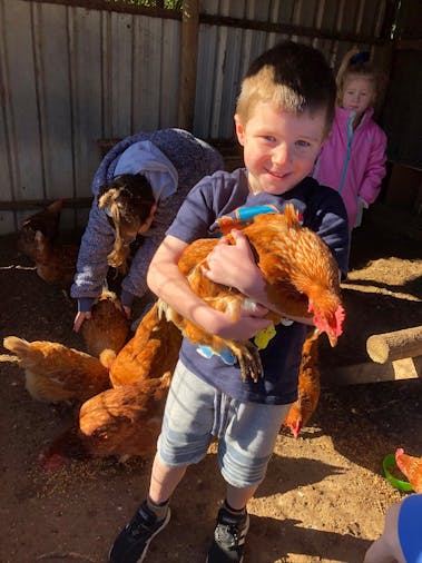 Tarnasey Farm Little Farmer Tours