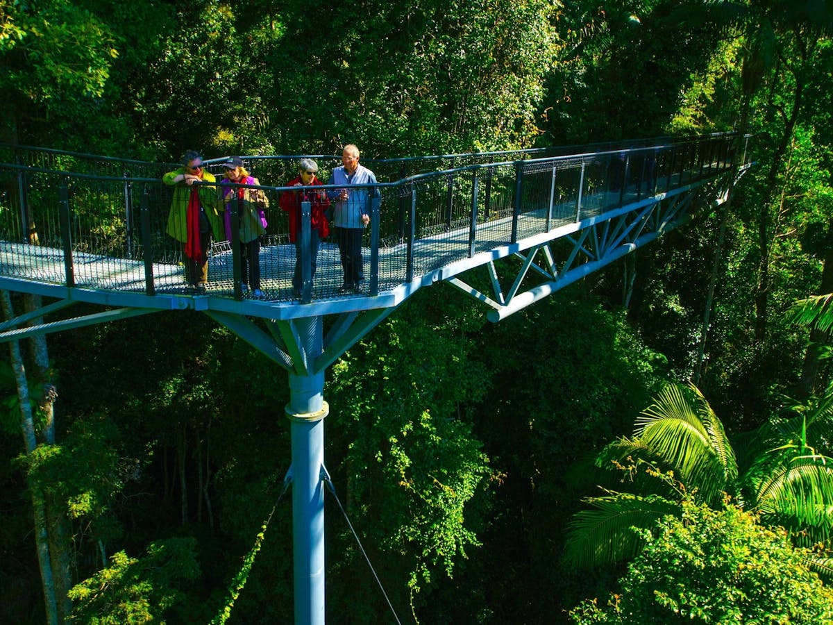 Tamborine Rainforest Skywalk with Hop on Hop off Tamborine Rainforest Skywalk with Hop on Hop off