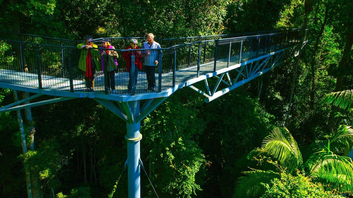 Tamborine Rainforest Skywalk with Hop on Hop off