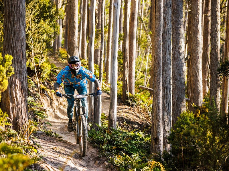 Image for Trail Wake