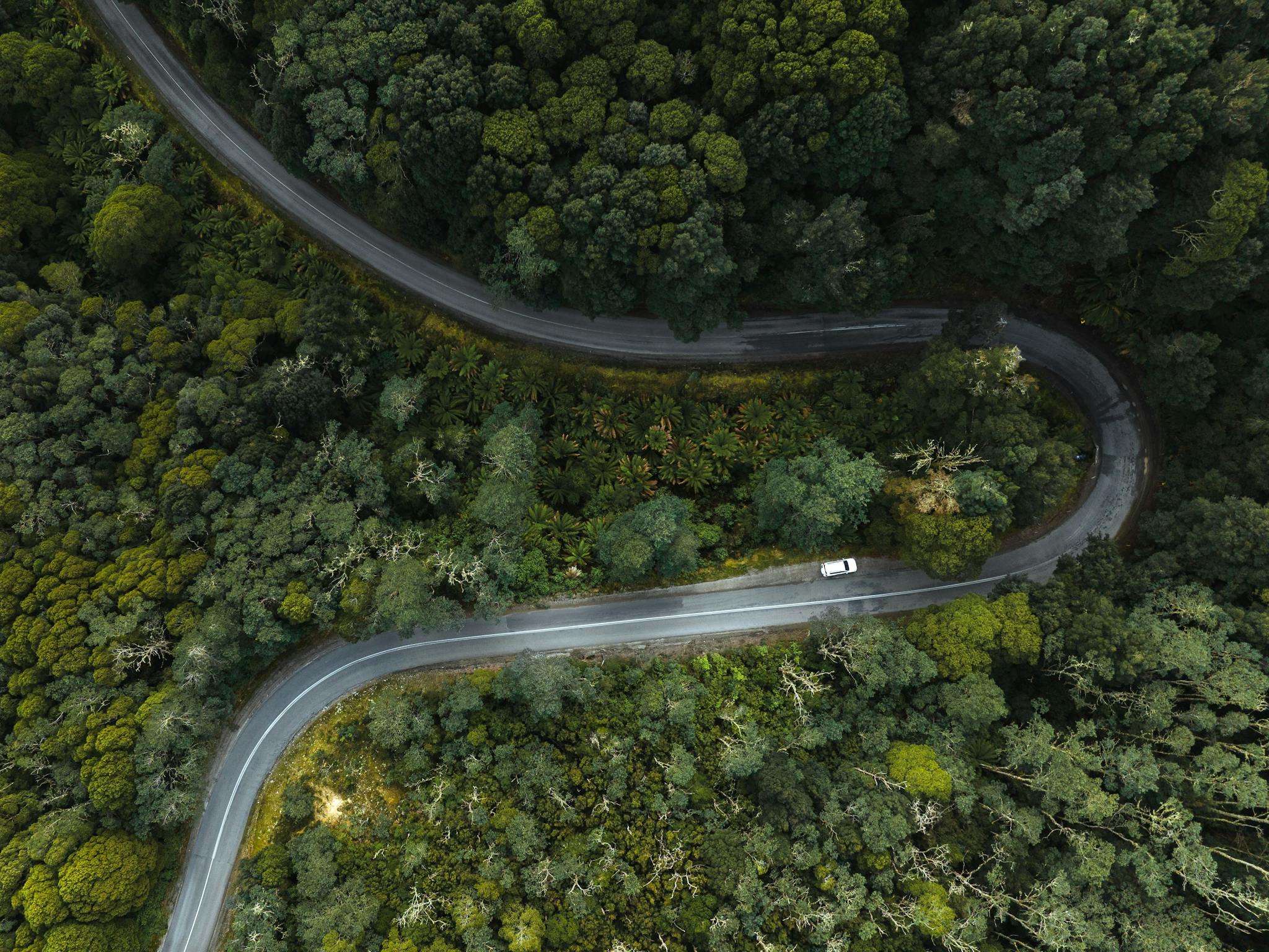 aerial of a road through forest