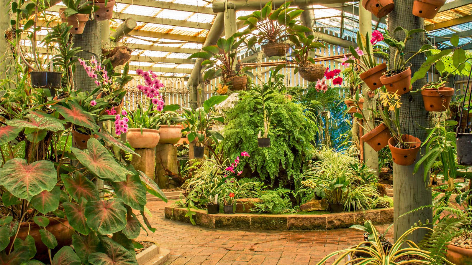 The Ken Burgess Orchid House