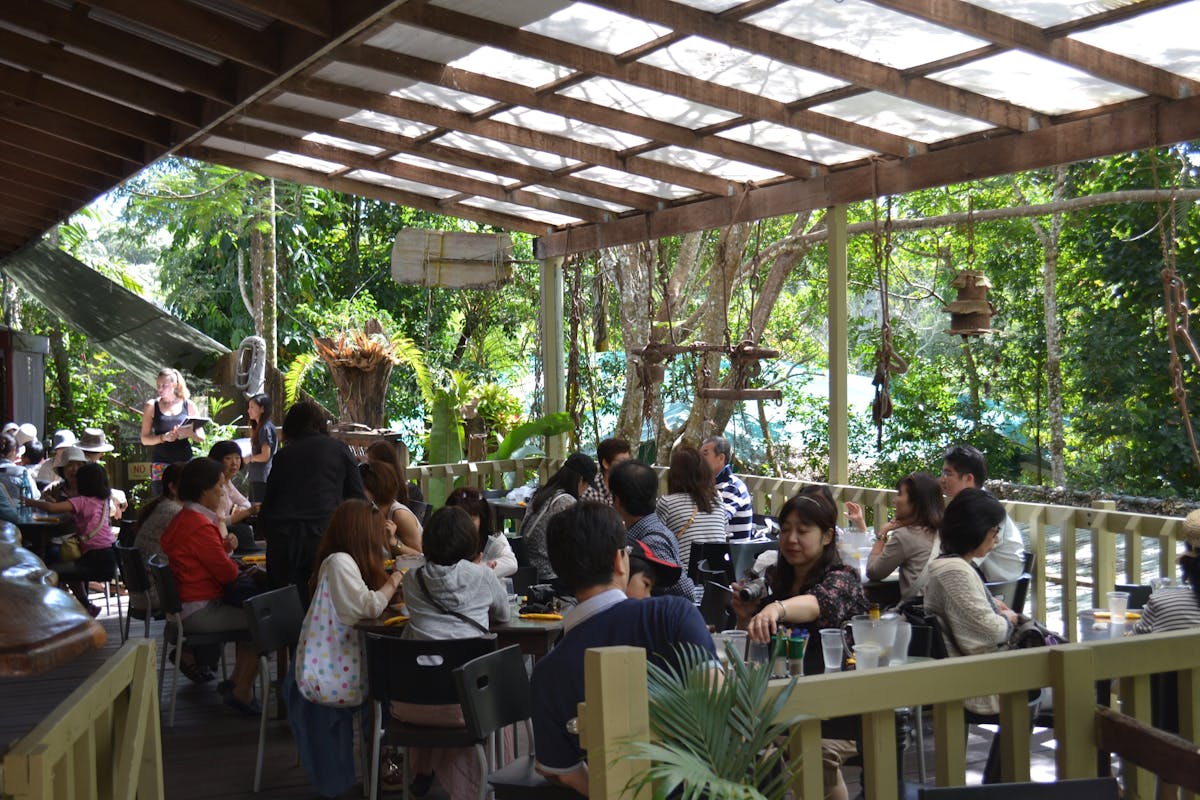 Their tropical deck busy with rustic artifacts hanging.