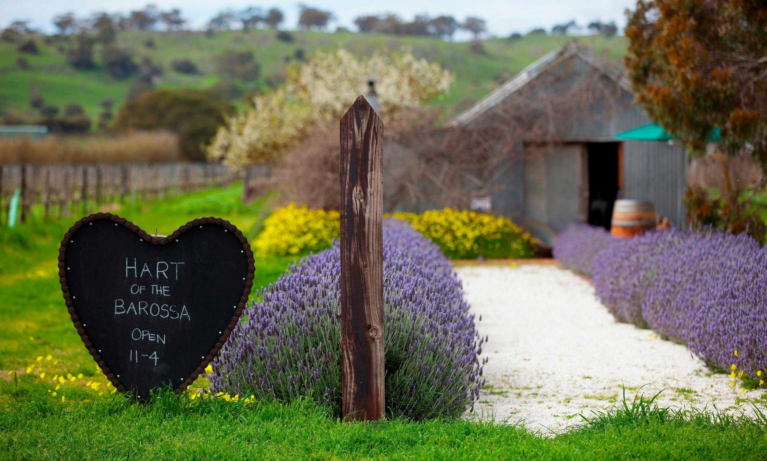 Friday Long Lunch @ Hart of the Barossa Glass Room