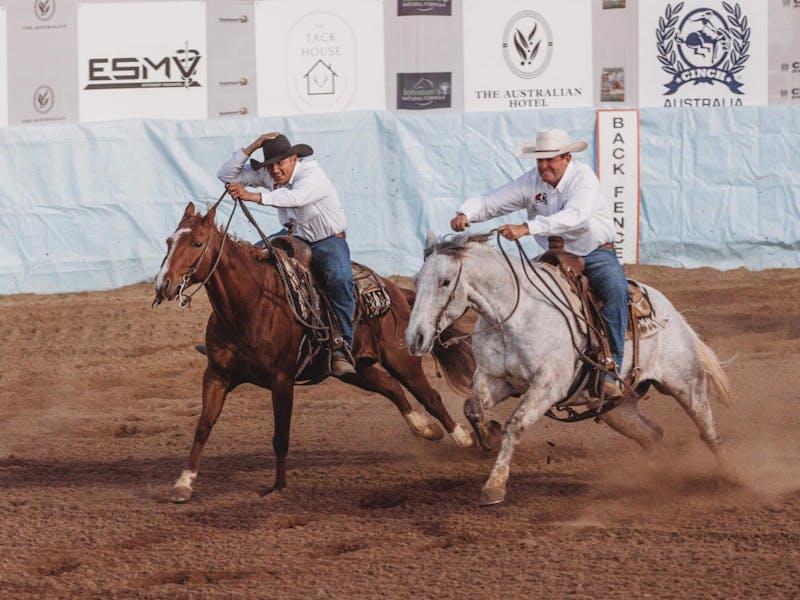 Image for Balonne Cutting Horse Futurity